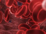 深度剖析 | NovoCyte Quanteon流式细胞仪对小鼠造血干细胞和祖细胞进行14色表型分析