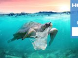 追根溯源精准治理，直击海洋微塑料七大污染源 | 科普专栏