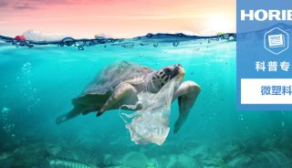 追根溯源精准治理，直击海洋微塑料七大污染源 | 科普专栏