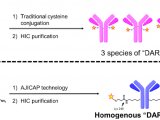 最新应用︱“AJICAP”位点特异性抗体-药物偶联物的疏水纯化策略