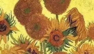 CT诠释向日葵的科学之美