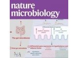 Nature Microbiology | 肠道菌群揭开神经性厌食症的神秘面纱