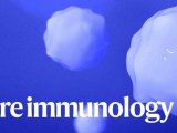 Nat Immunol | 华中科技大学黄波团队揭示记忆性T细胞通过氨解毒促进记忆形成的机制