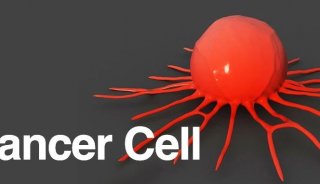 Cancer Cell重磅！曹雪涛/张迁团队揭示O-糖基化修饰介导的促肿瘤转移和化疗抵抗新机制