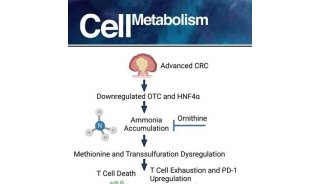 Cell Metabolism | AD的罪魁祸首——Warburg样代谢转变！