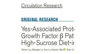 IF 23！天津医科大学艾玎教授团队利用4D蛋白质组揭示YAP分子在高脂高糖饮食诱导的动脉硬化中的作用机制，有望成为治疗新靶点
