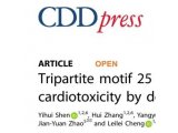 CDD| 中山医院程蕾蕾/赵健元教授团队发现E3泛素化连接酶（TRIM25）能够有效缓解阿霉素诱导的心脏毒性