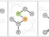 NMR谱图中的活泼氢是敌还是友？