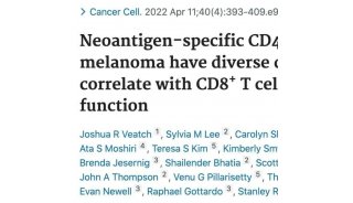 BD Rhapsody单细胞多组学技术助力黑色素瘤特异性CD4+T细胞研究