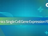 自带“定身诀”——10×Genomics Single Cell Gene Expression Flex 技术服务正式推出