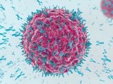 BIOMED PHARMACOTHER  | 安捷伦细胞分析解决方案助力乳腺癌药物开发