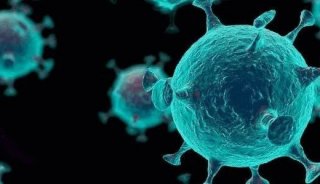 新冠病毒入侵人体的受体是什么？