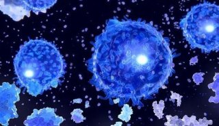 这篇可复现性极强的单细胞+免疫治疗新思路，还不快拿走？！