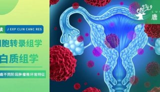 J Exp Clin Cancer Res | 单核RNA测序联合蛋白质组学揭示宫颈癌不同阶段肿瘤微环境