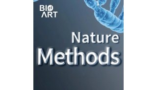 Nature Methods | 贺雄雷团队开发高效谱系追踪系统构建果蝇发育细胞谱系树