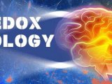 Redox Biology: 苏州大学苏州医学院研究团队发现脑出血后内源性H2S是调控小胶质细胞持续吞噬的关键因子