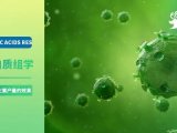 项目文章 | 恭喜西北研究院刘光琇团队探索新型tRNA增产抗生素发表生物一区顶刊