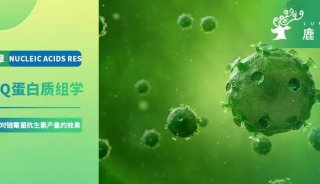 项目文章 | 恭喜西北研究院刘光琇团队探索新型tRNA增产抗生素发表生物一区顶刊