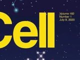 Cell三连发：临床肺癌蛋白质组新突破，华人科学家再攀高峰