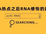 解密m6A热点之后RNA修饰的新方向——ac4C-RNA乙酰化修饰