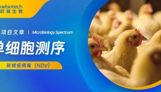 项目文章 | 单细胞测序揭示新城疫病毒在鸡体内外的单细胞图谱