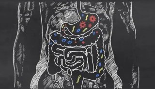赋能科研 | 微生物能减肥的科学证据被找到？华大智造DNBSEQ平台助力探究菌群与代谢的因果关系！
