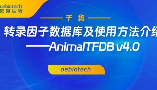 转录因子数据库及使用方法介绍——AnimalTFDB v4.0