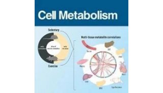 Cell Metabolism | 运动代谢图谱揭示代谢稳态的时间依赖性特征