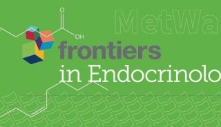 项目文章 | FRONT ENDOCRINOL 代谢组揭示反复自然流产的发生机制