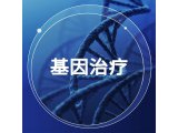 毛细管凝胶电泳法（CGE-LIF）对质粒DNA的纯度分析