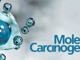 Mol Carcinog | 上海交通大学肖华团队磷酸化蛋白质组学揭示细胞外囊泡调控网络