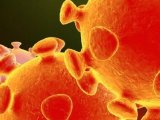 新型冠状病毒检测、疫苗及新药研发简介
