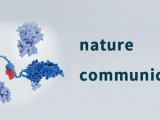 Nat Commun | 华中科大薛宇/张珞颖团队小样本学习揭示丙酰化修饰介导蛋白稳态
