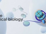 Nat Chem Biol | 王玉刚/刘珂团队发现新型组蛋白硫酸化修饰及其功能
