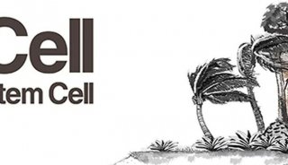 Cell Stem Cell：李小玲/赵英明团队合作揭示组蛋白巴豆酰化在人类胚胎干细胞分化中的关键作用