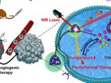 纳米探针 | NIR-II 荧光成像引导的光热/化学/抗血管生成疗法的纳米平台