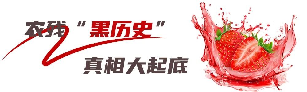 未标题-1.jpg