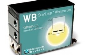 Western Blot 检测系统ScanLater Molecular Devices