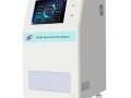 高通量384孔荧光定量PCR仪