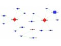 CircRNA-mRNA-miRNA-Network-circrna-mrna-mirna-network