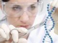 CRISPR/Cas9基因敲除/敲入技术服务