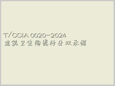T/CCIA 0020-2024
