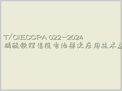 T/CIECCPA 022-2024封面图