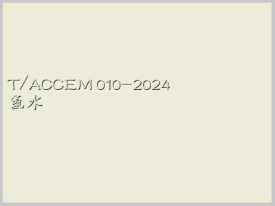 T/ACCEM 010-2024