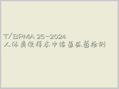 T/BPMA 25-2024封面图
