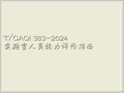 T/CAQI 383-2024封面图