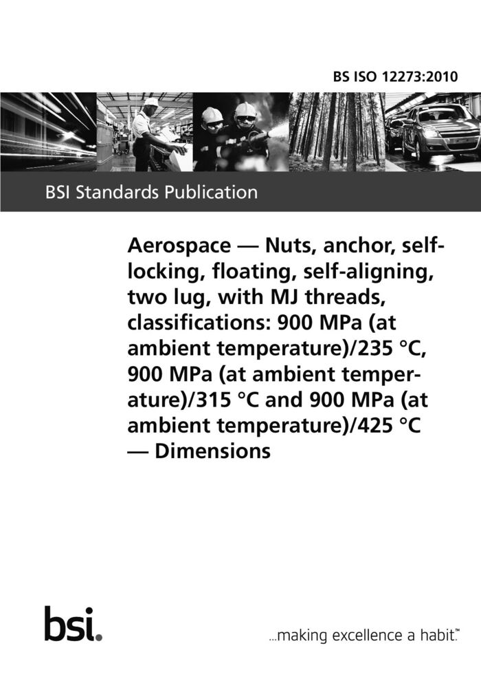 BS ISO 12273:2010