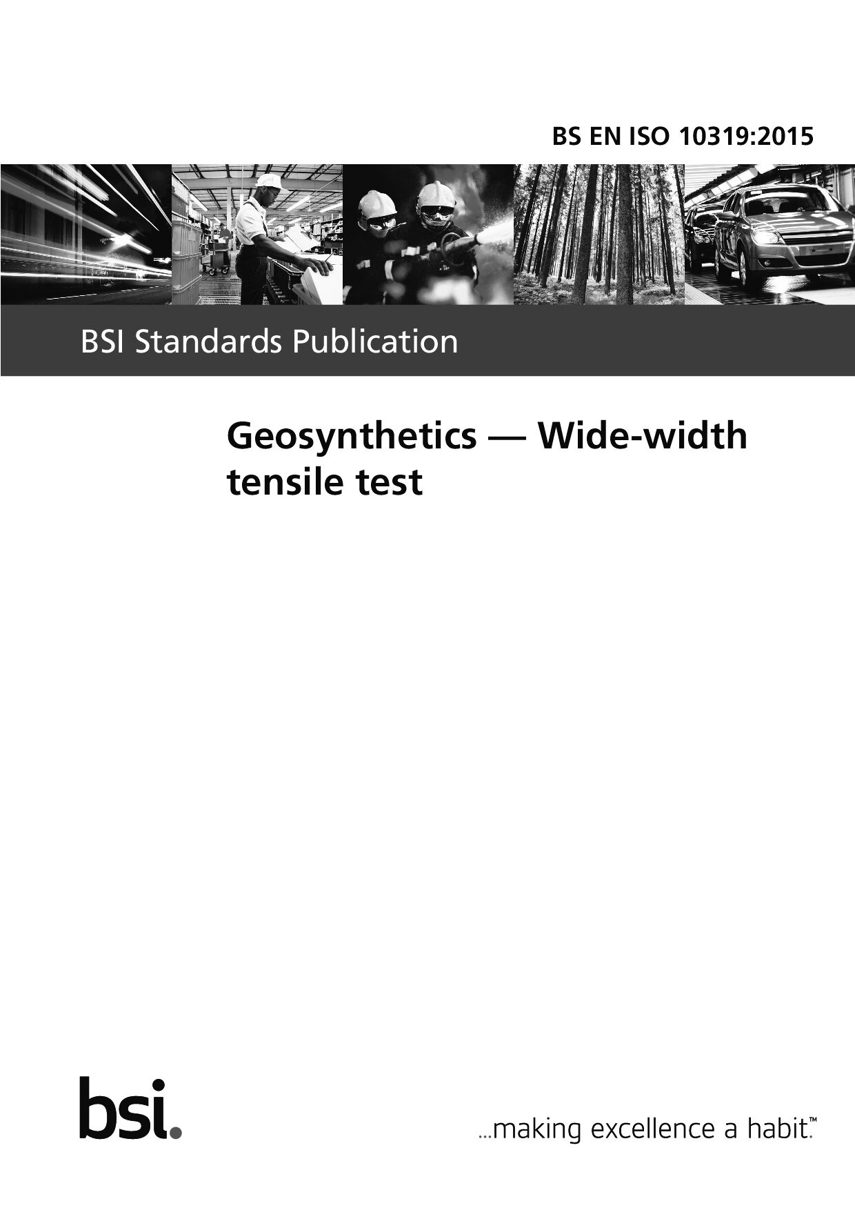 BS EN ISO 10319:2015封面图