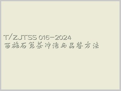 T/ZJTSS 016-2024封面图