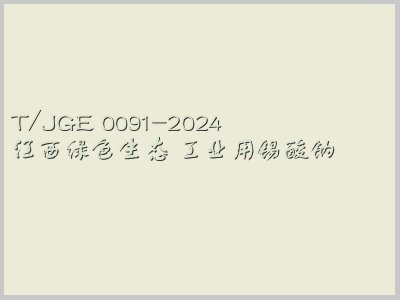T/JGE 0091-2024封面图
